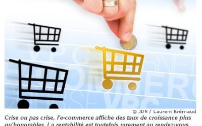 Très bon article de Flore Fauconnier sur la rentabilité du E-commerce