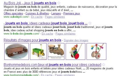 Doit on choisir un « .com » ou un « .fr » ?