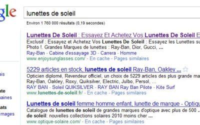 Avez vous une stratégie de référencement ?