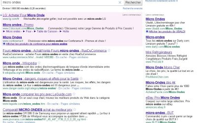 Donner de la visibilité à vos produits sur Internet