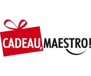 Cadeau Maestro : Interview de Nicolas Graillon, SEO & Community Manager du site