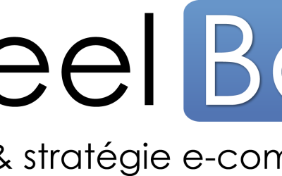 Skeelbox recrute un consultant e-commerce senior