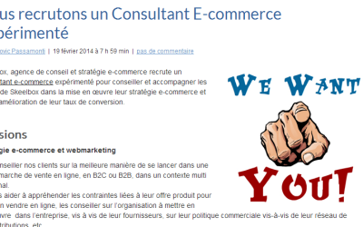 [JOB][CDI] Consultant E-commerce senior orienté conversion