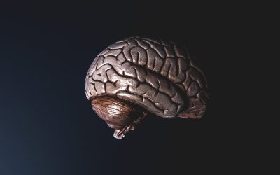 Faut-il mémoriser le panier en E-commerce ?