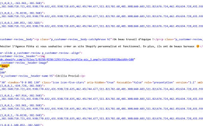 Shopify utilise-t-il le Lazy Loading ?